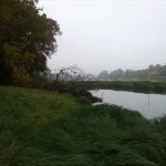 Blick Vom Unterluch Zu Kleinen Mückenbergen Oberhalb Mündung Mulde (1)