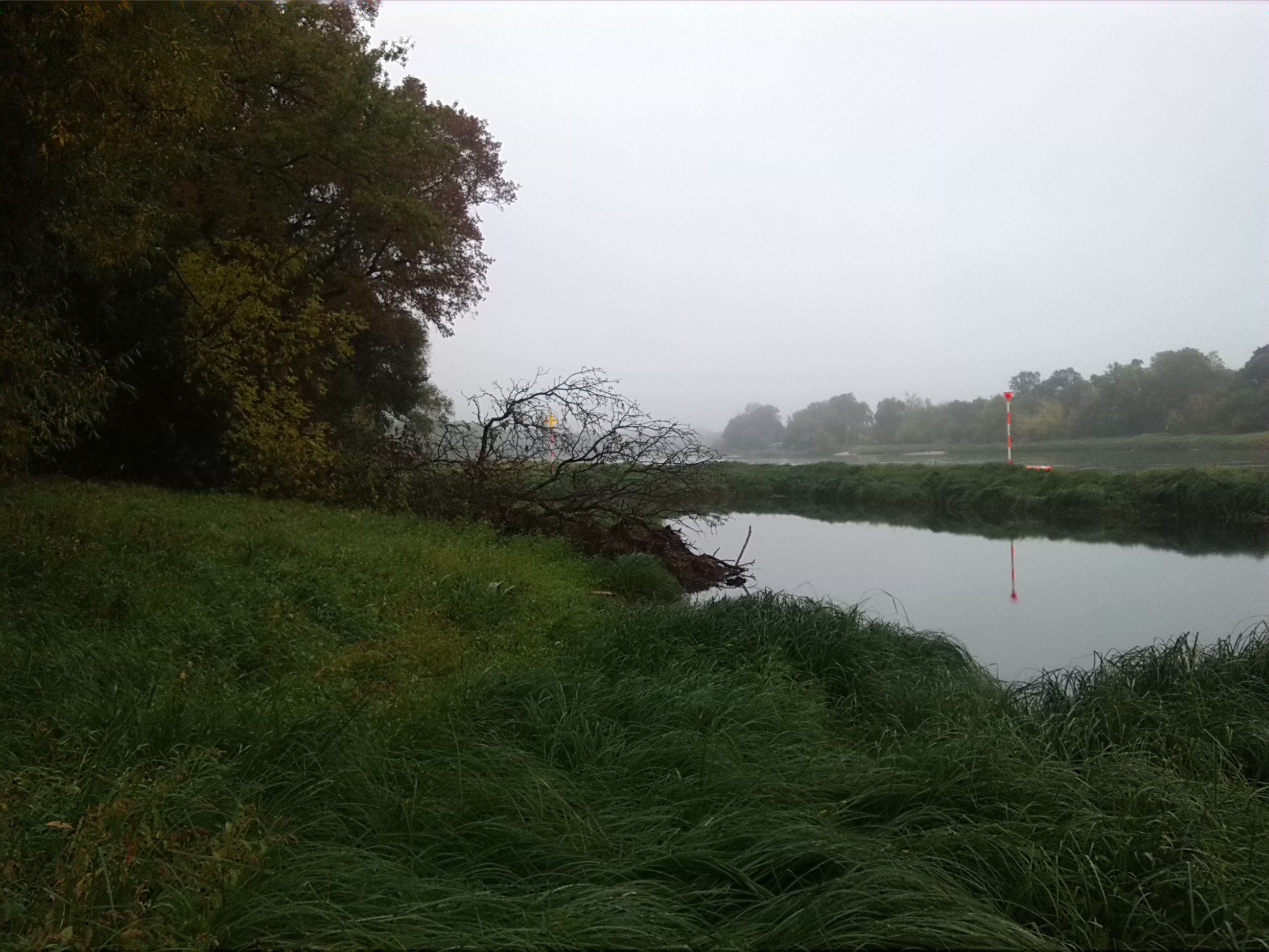 Blick Vom Unterluch Zu Kleinen Mückenbergen Oberhalb Mündung Mulde (1)