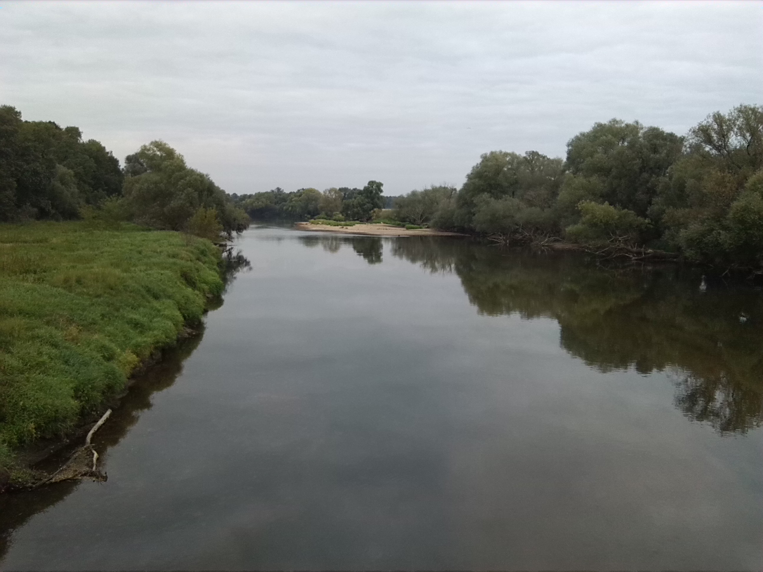 Blick Mulde Abwärts Von Jagdbrücke (2)
