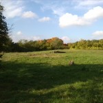Blick Zum Zentralplateau Vom Süden Her