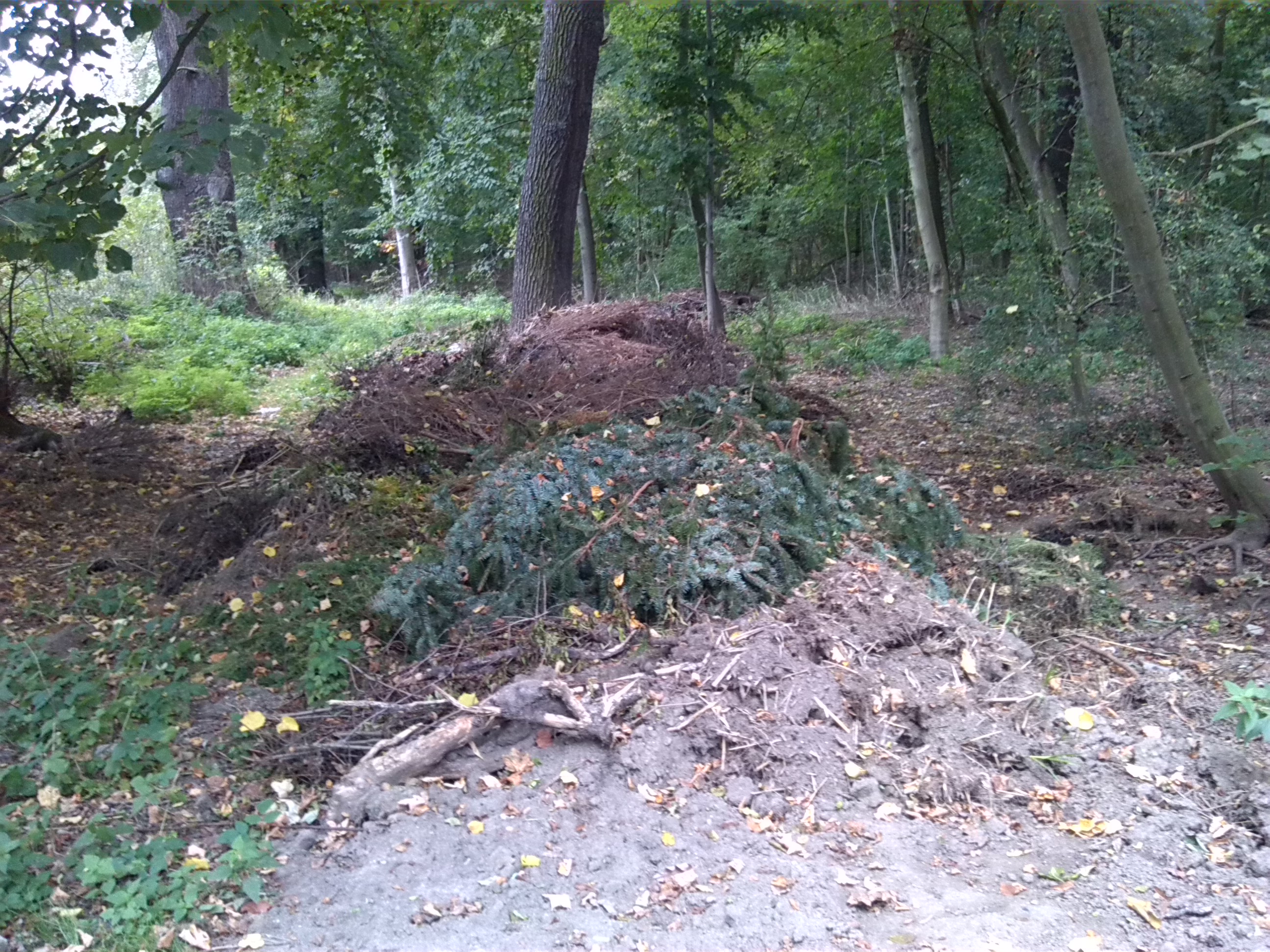 Gartenabfälle Nordwestlich Von Kleingarten Schillerpark