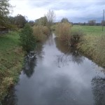 Helme Flussaufwärts An Aumühle (1)