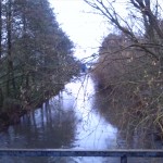 Helme Abwärts Brücke Alte Bahntrasse Kelbra Unweit Auslauf Stausee (2)