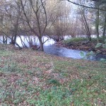 Mündungsgebiet Der Thyra In die Helme östlich Stausee Kelbra (1)