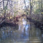 Blick Mühlpleiße Aufwärts Brücke Bei Das Mühlholz