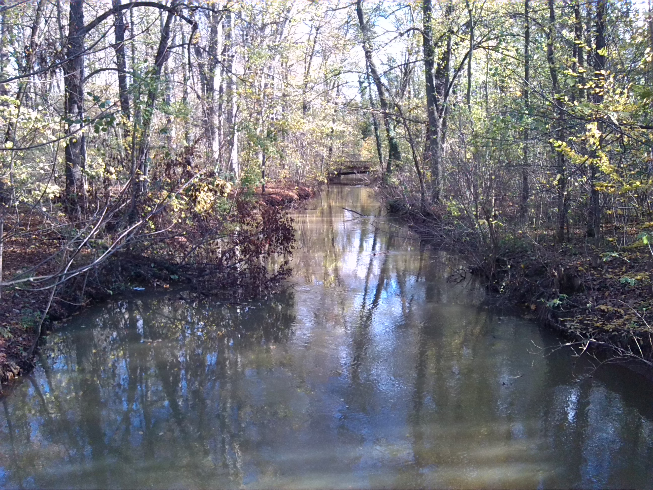 Blick Mühlpleiße Aufwärts Brücke Bei Das Mühlholz