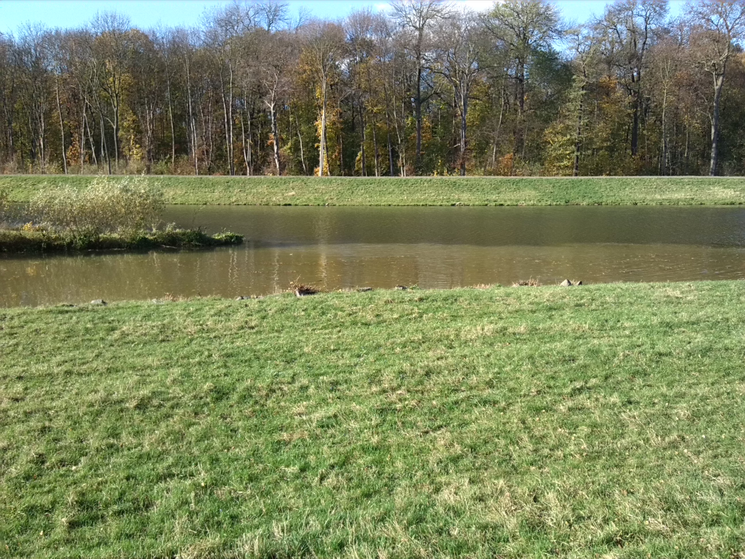 Blick Vom Ostufer Zur Mündung Pleiße In Elsterflutbett & Leipziger Eck (1)