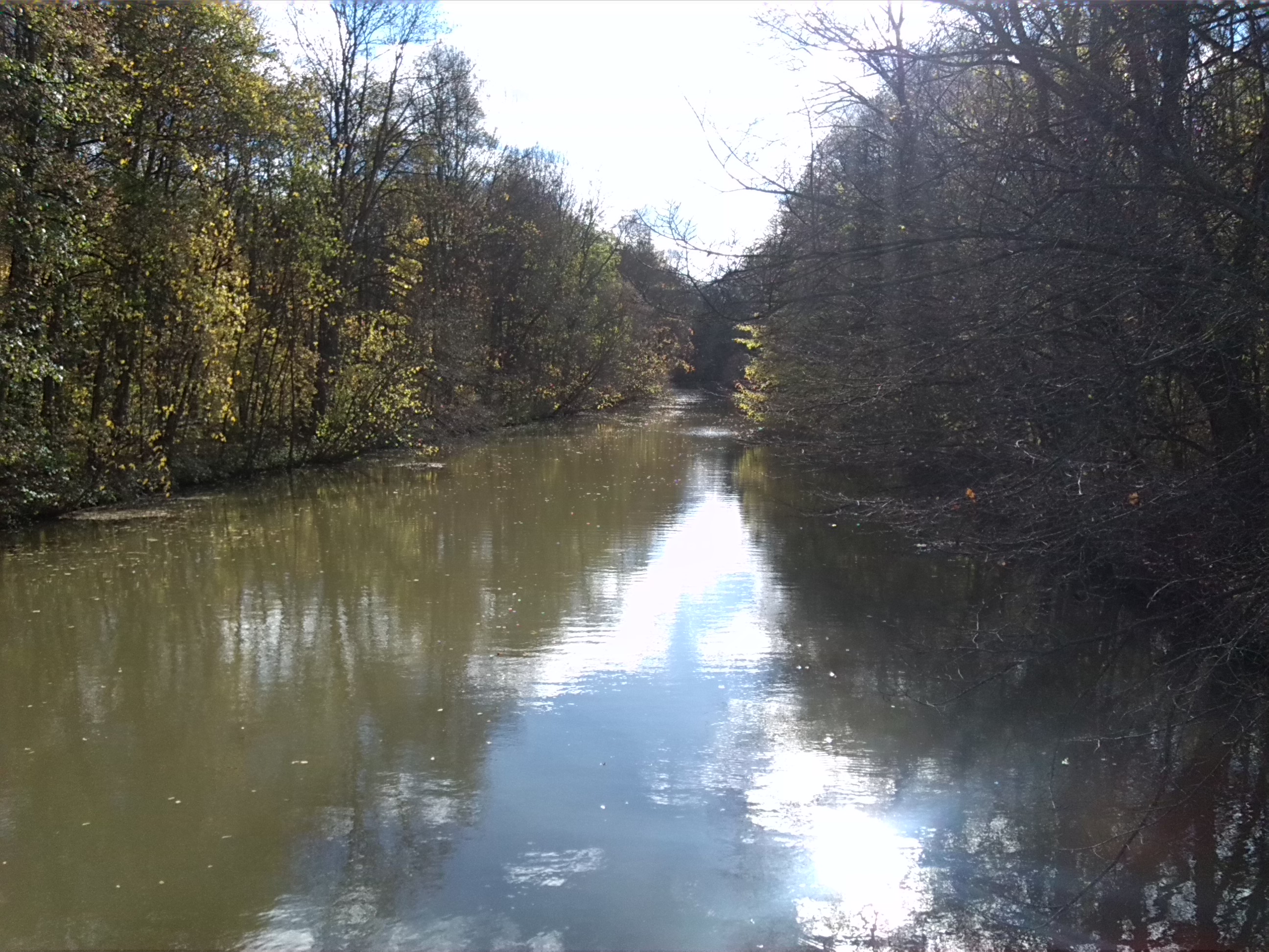 Blick Von Pleißebrücke Zwischen Streitholz & Der Beipert Flussabwärts
