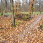 19-Trampelpfad-Burgaue-Nordteil-Aufforstungsfläche-Unweit-Reitweg