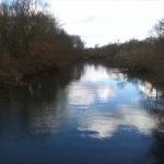 Blick Von Brücke Rabeninsel-Wilde Saale Aufwärts (1)