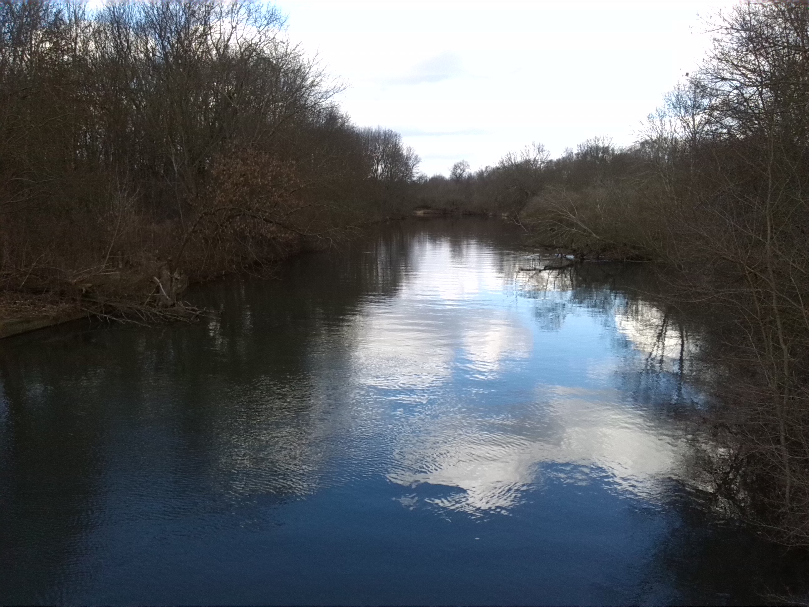 Blick Von Brücke Rabeninsel-Wilde Saale Aufwärts (1)