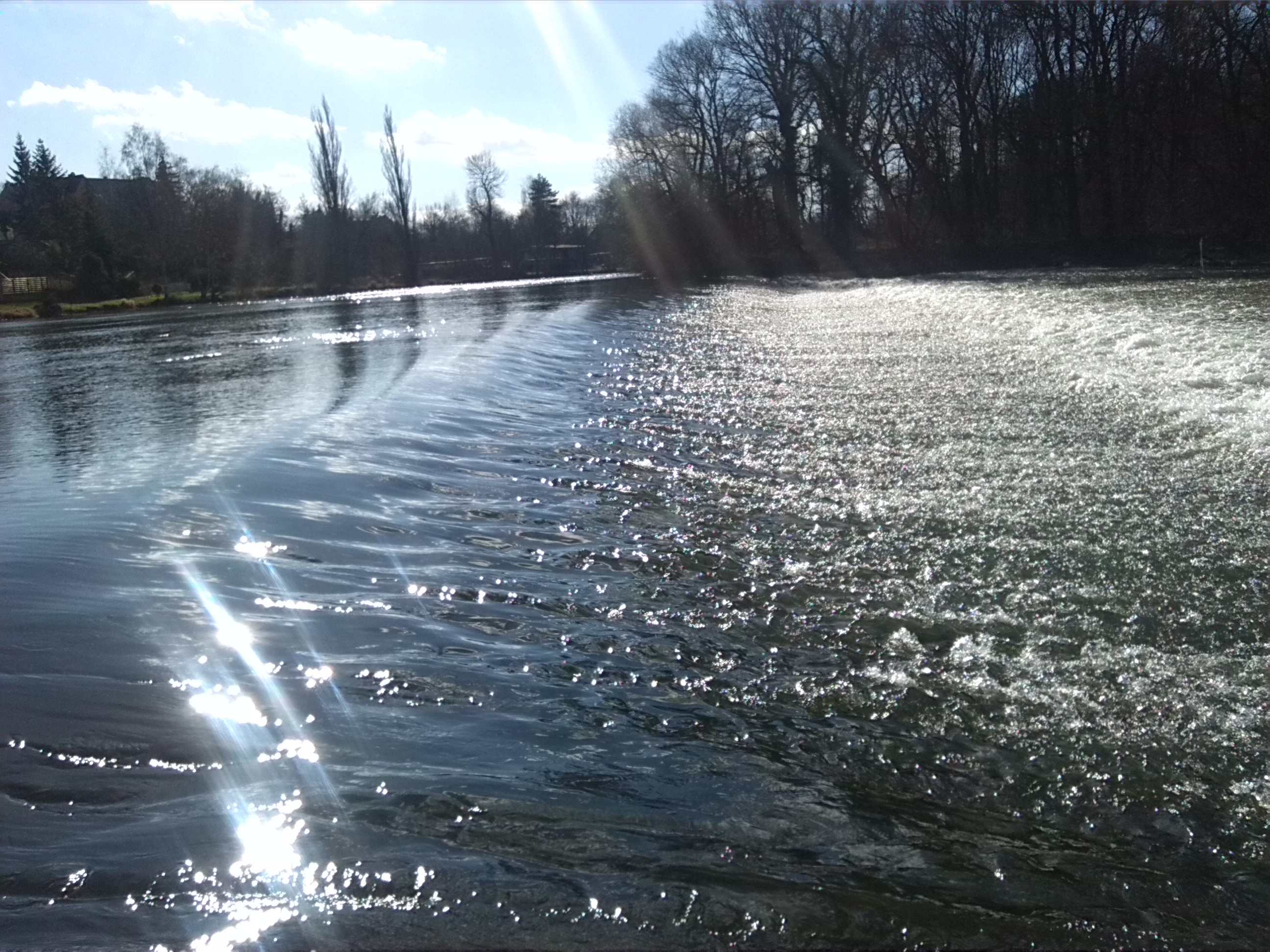 Südspitze Rabeninsel Am Wehr (1)