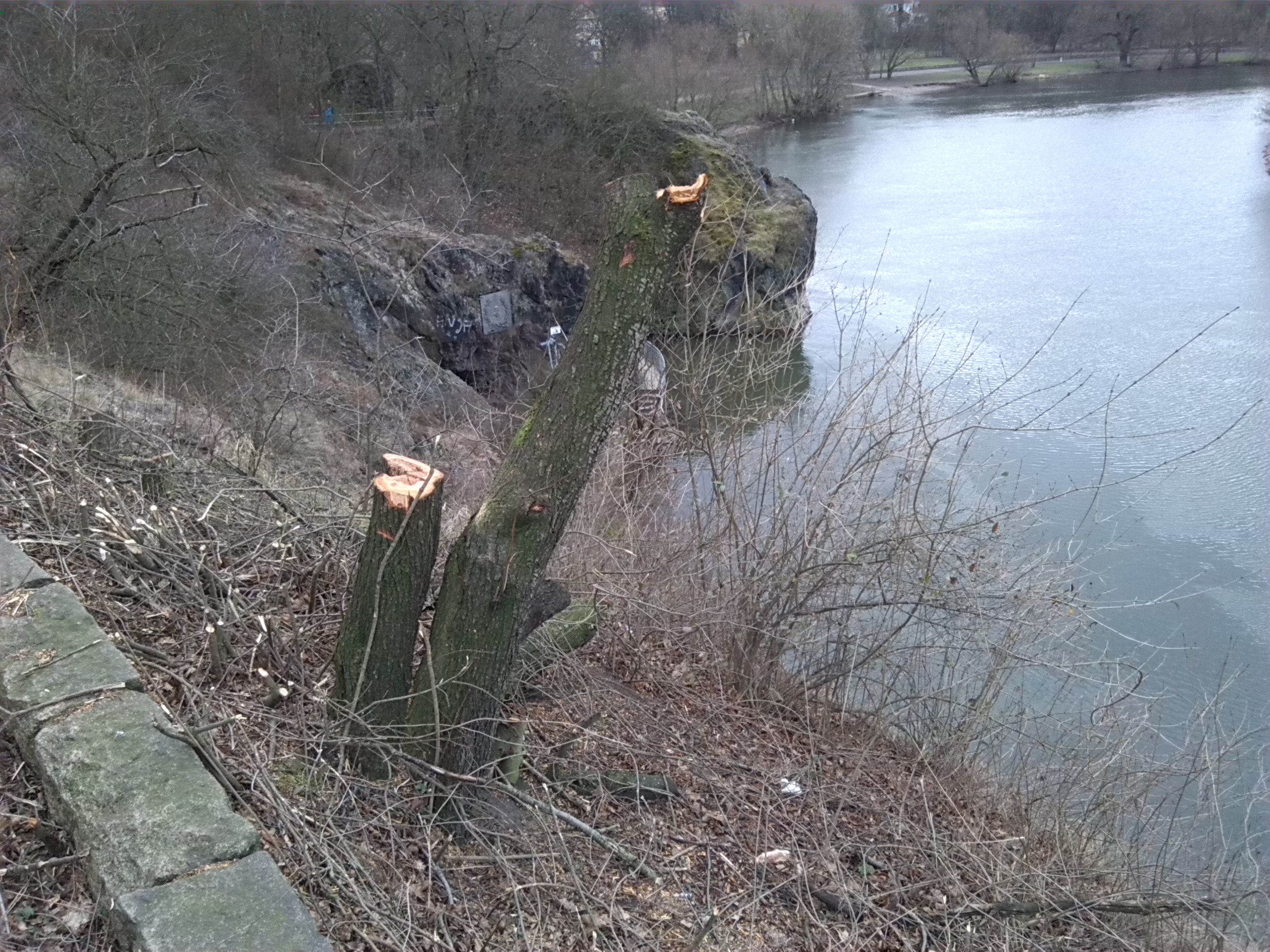 Blick Zum Westufer & Saale Von Klausberge Nach Süden (1)