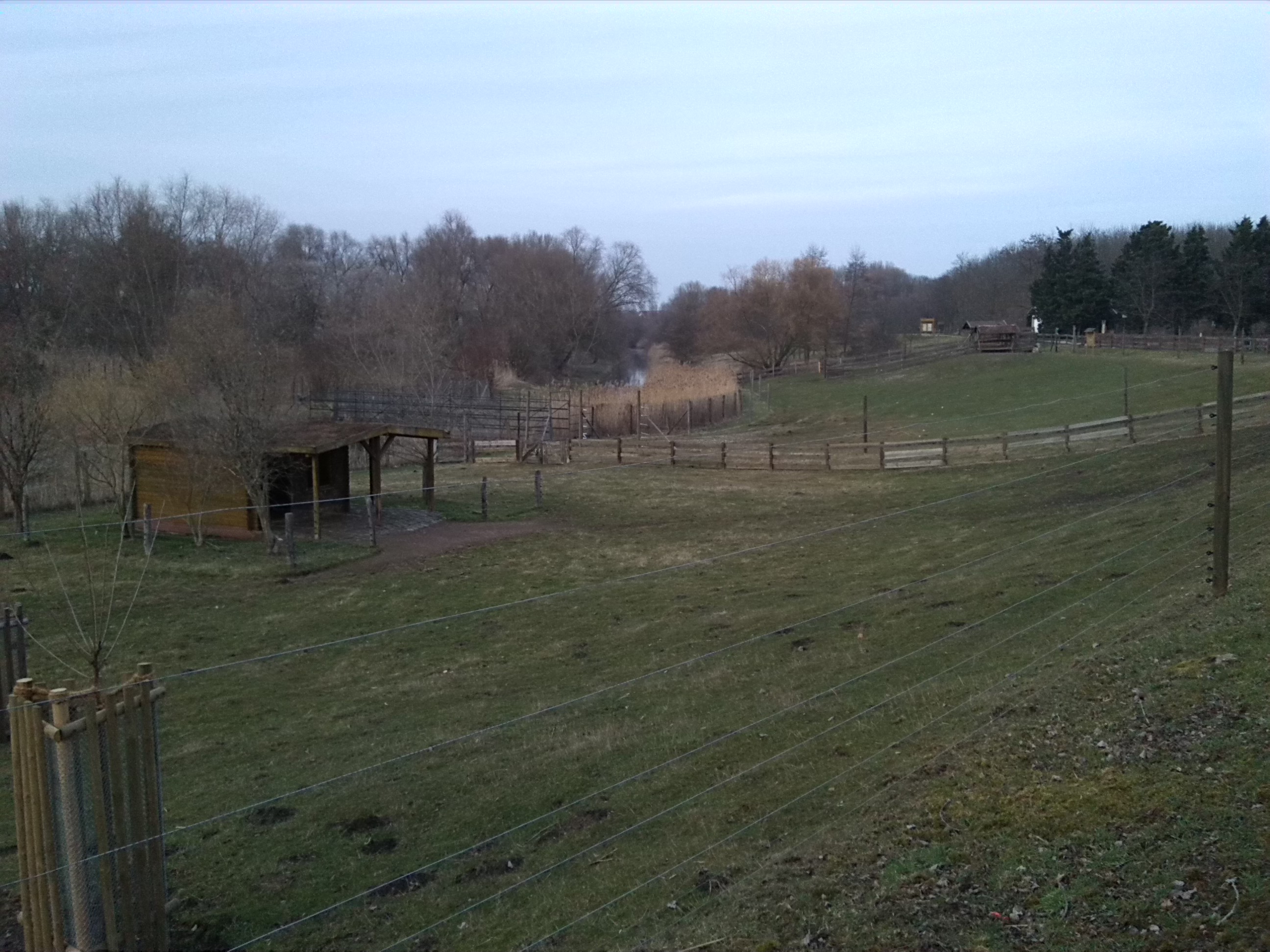115-Blick Nordrand Südpark Über Geisel Nach Nordosten