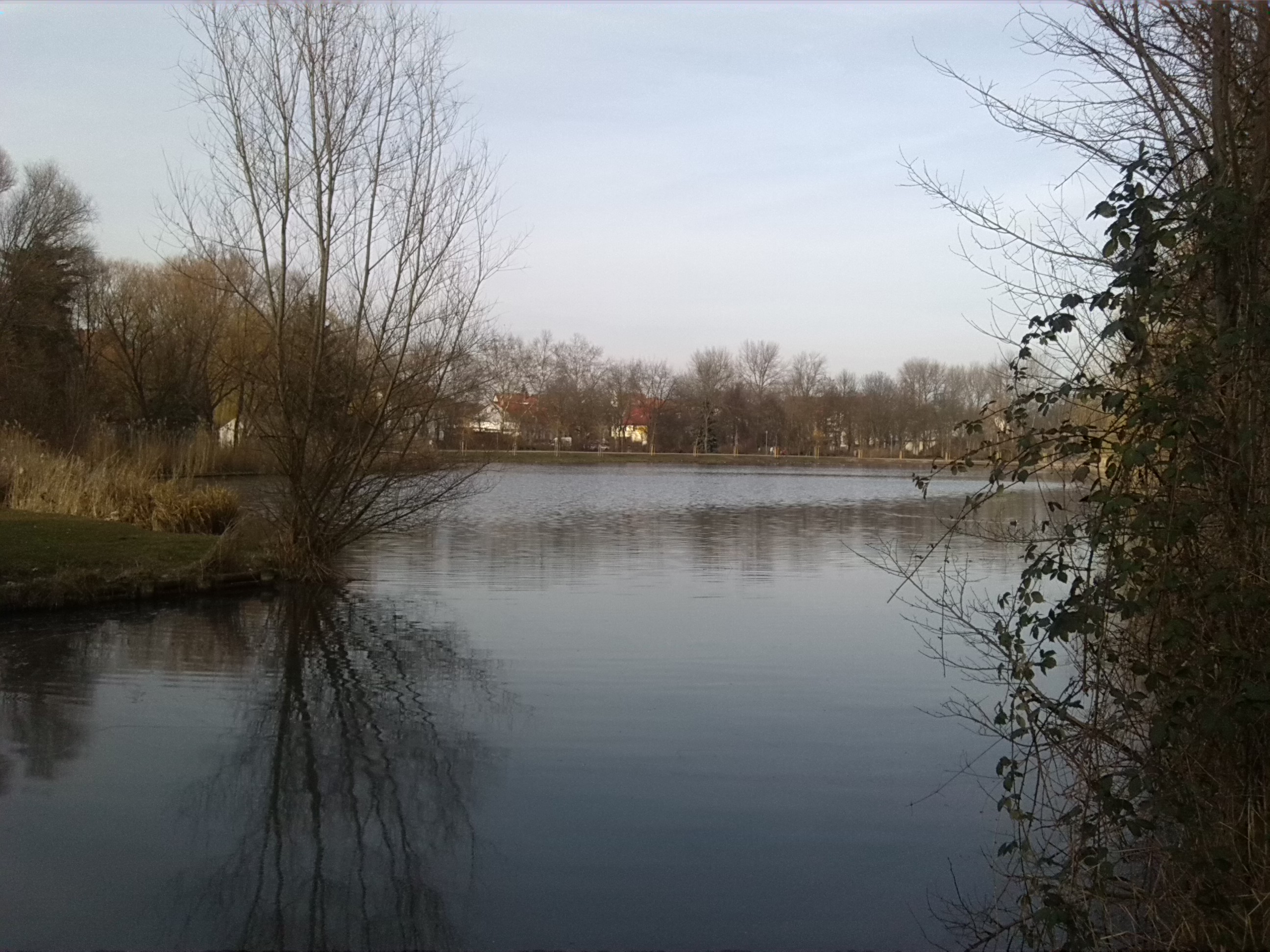 12-Geiseleinmündung Mit Blick Über Hinteren Gotthardteich Nach Osten