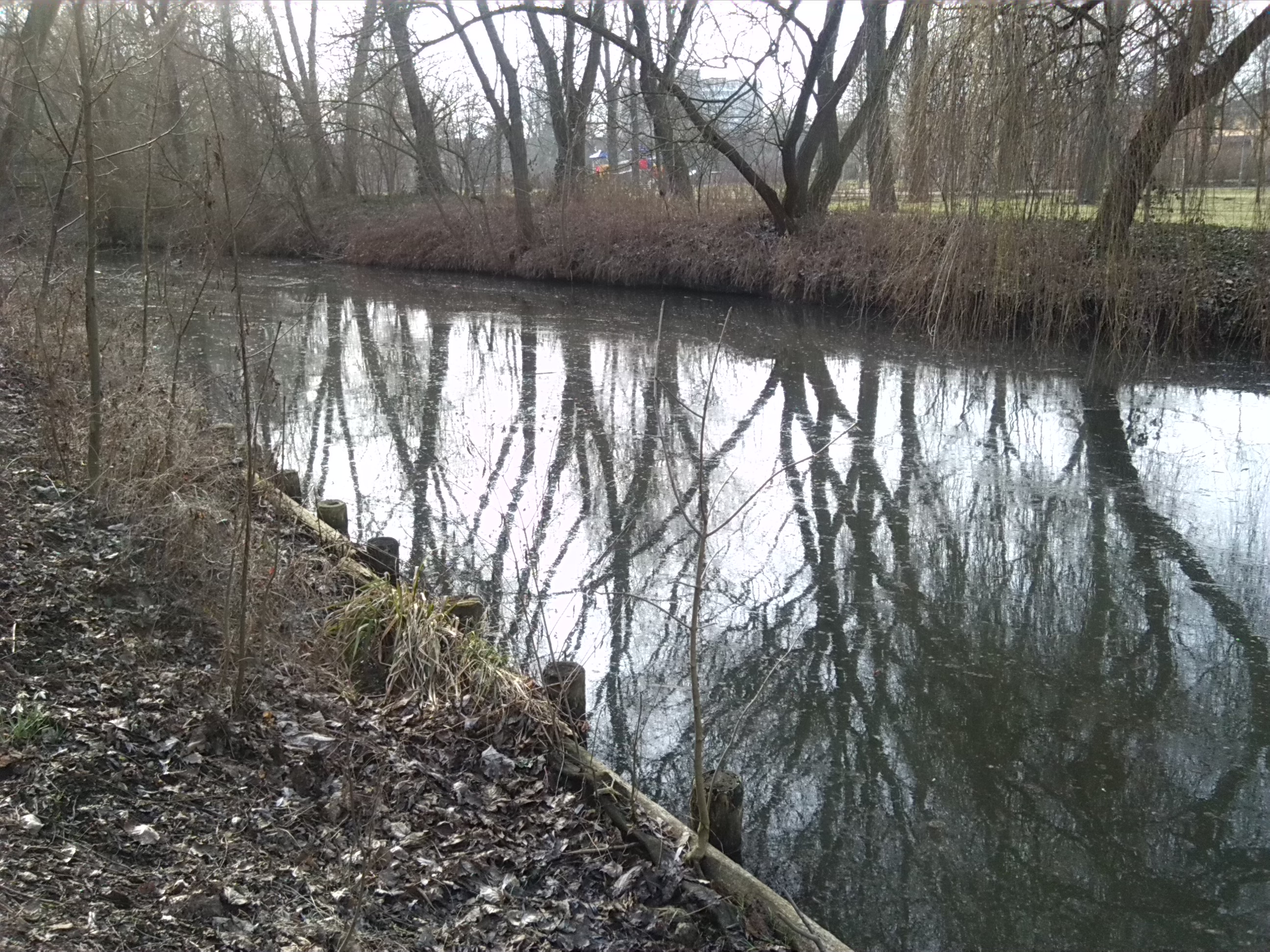 14-Geisel Vor Mündung In Gotthardteich Flussaufwärts