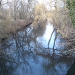 15-Blick Geiselabwärts Von Brücke Unweit Hinterer Gotthardteich