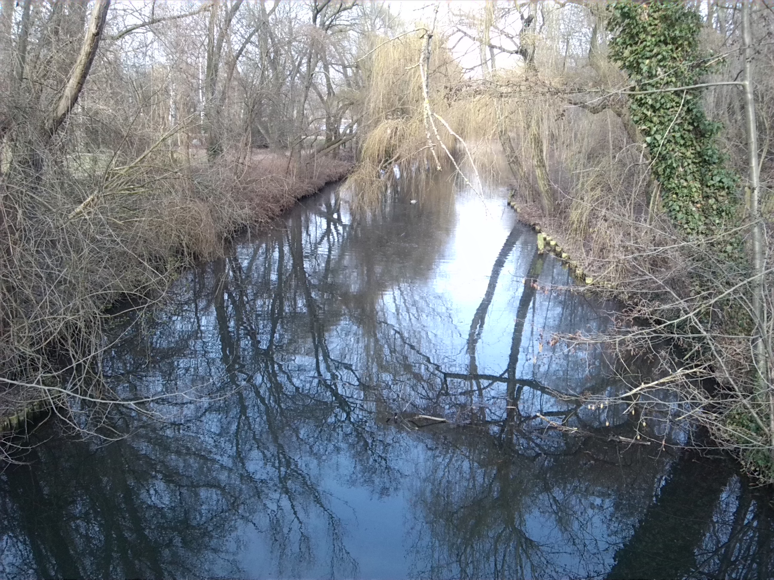 15-Blick Geiselabwärts Von Brücke Unweit Hinterer Gotthardteich