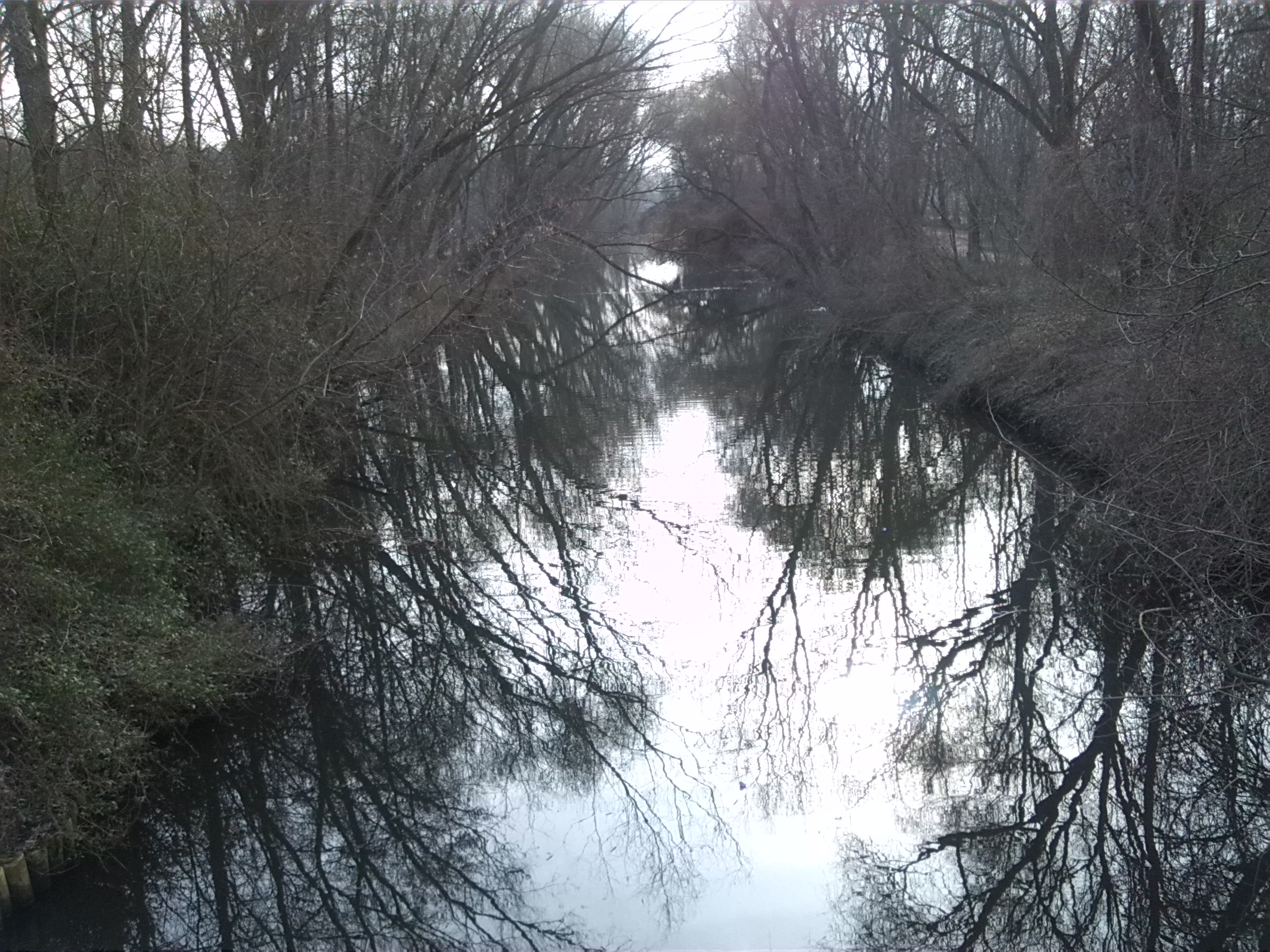 16-Blick Geiselaufwärts Von Brücke Unweit Hinterer Gotthardteich