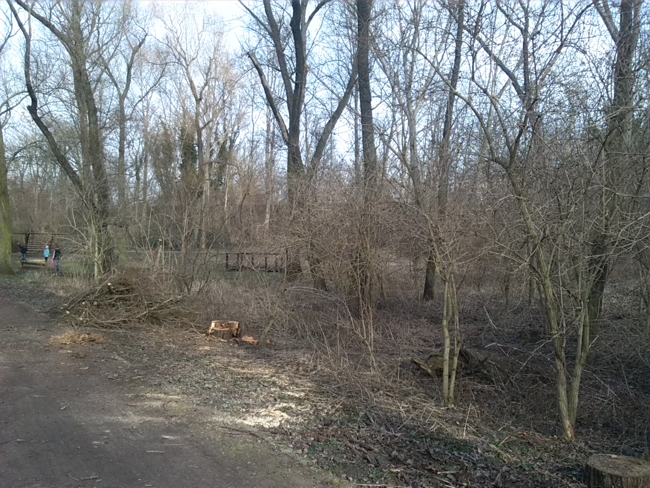 18-Spielplatz Geiselaue Südufer Östlich Thomas-Müntzer-Straße Nach Osten