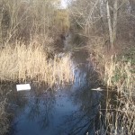 19-Blick Geiselabwärts Von Brücke Thomas-Müntzer-Straße Nach Osten