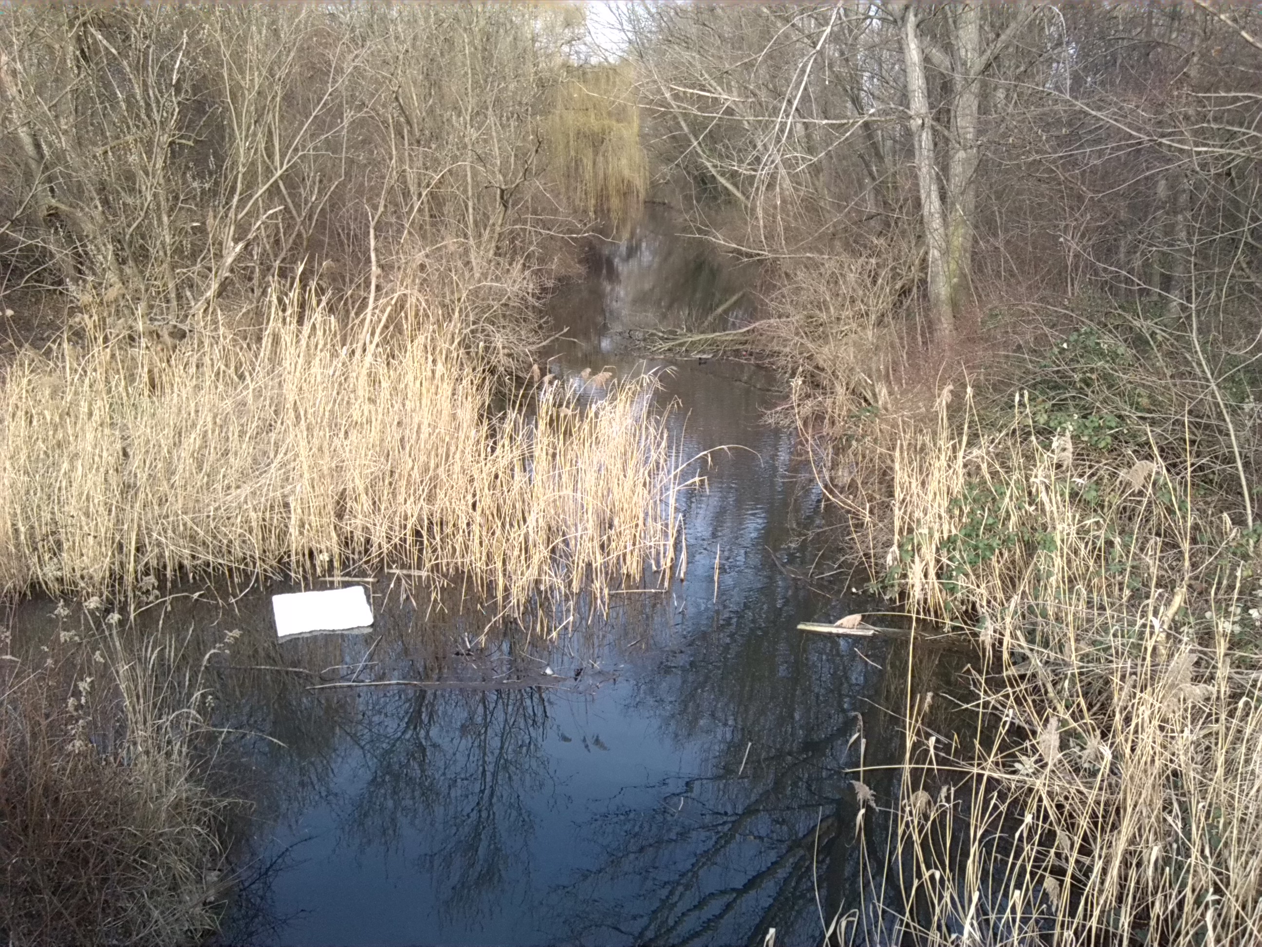 19-Blick Geiselabwärts Von Brücke Thomas-Müntzer-Straße Nach Osten