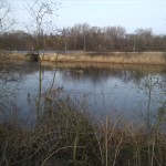 28-Blick Von Südpark Zu Absetzbecken & Thomas-Müntzer-Straße B91