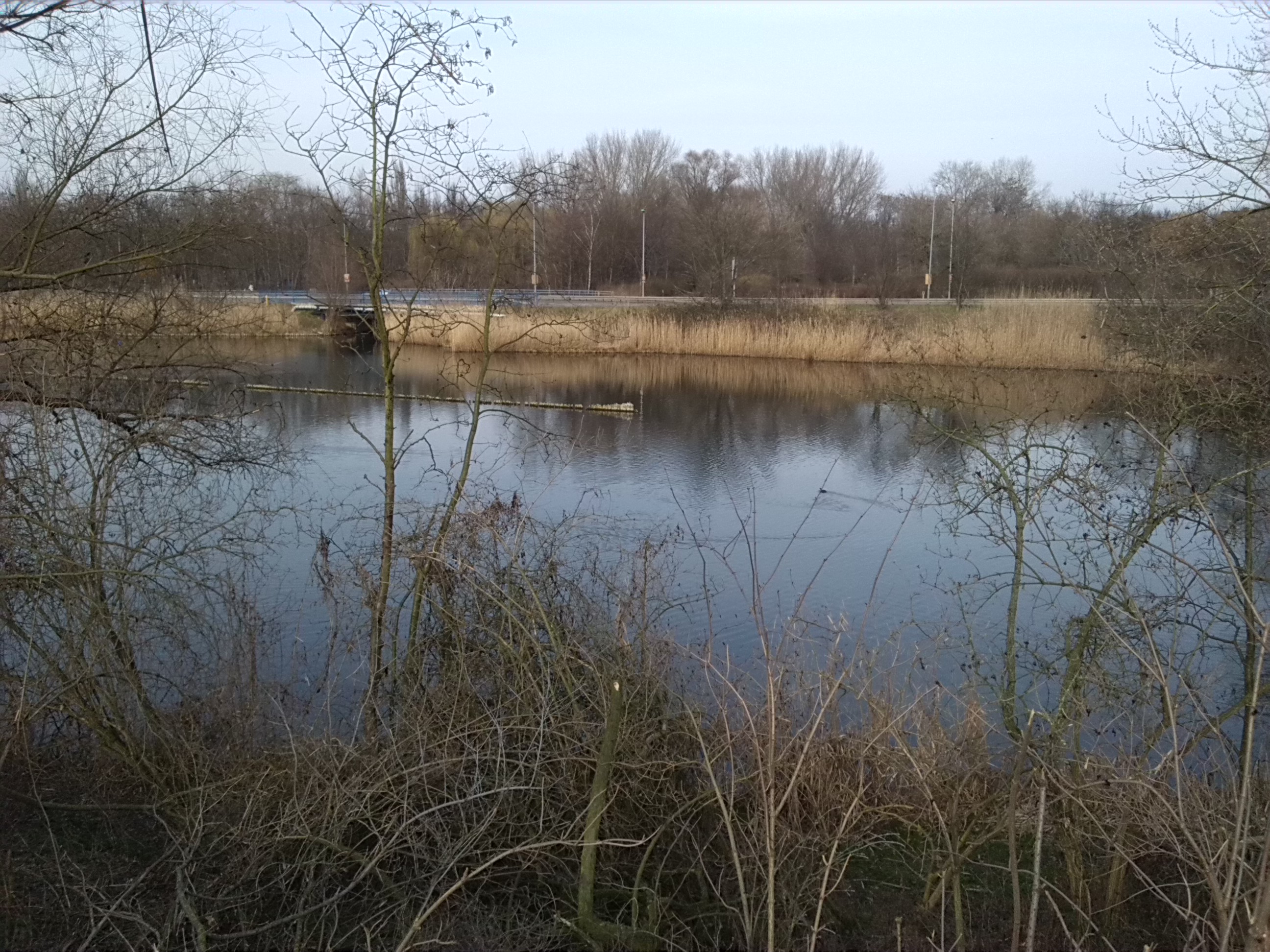 28-Blick Von Südpark Zu Absetzbecken & Thomas-Müntzer-Straße B91