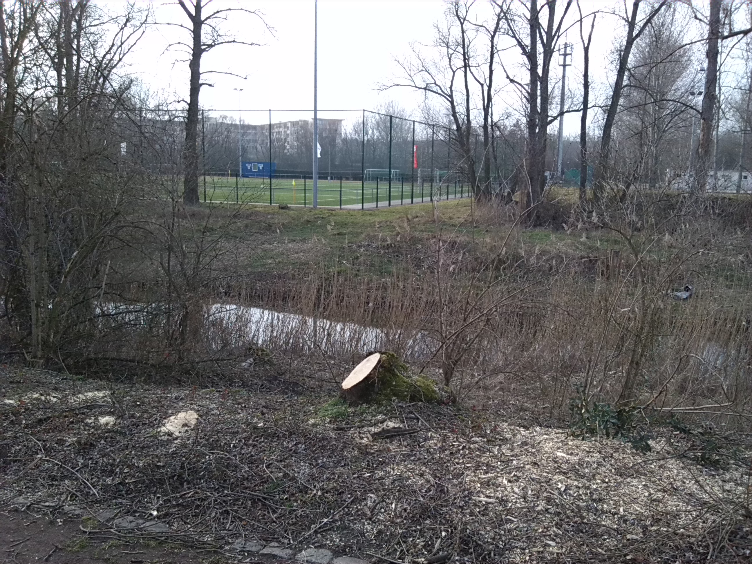 34-Blick Von Südpark Über Geisel Nach Norden Zu Sportanlagen Südwestlich Ulmenstraße