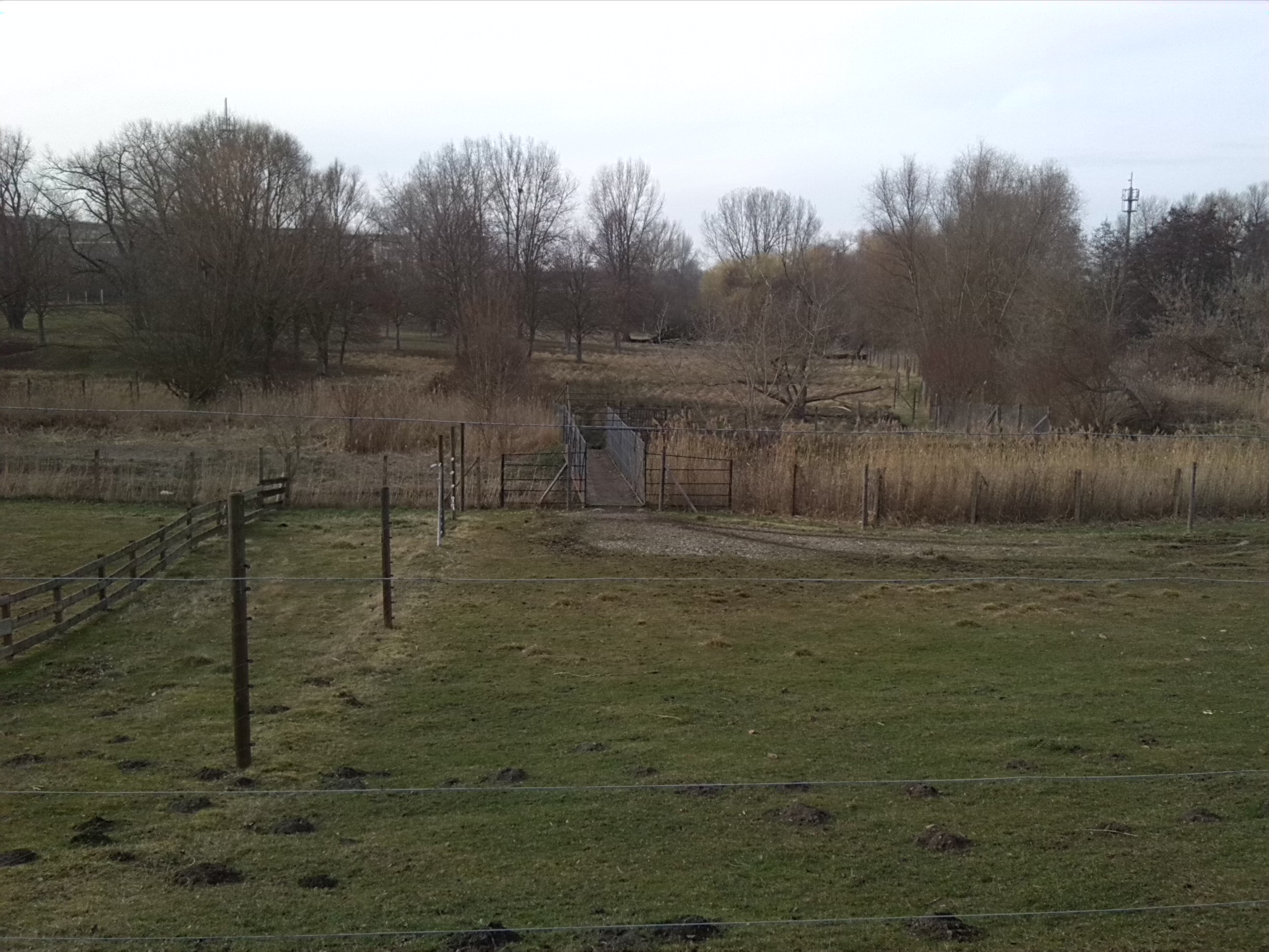 38-Blick Rothirschgehege Über Geisel Nach Norden