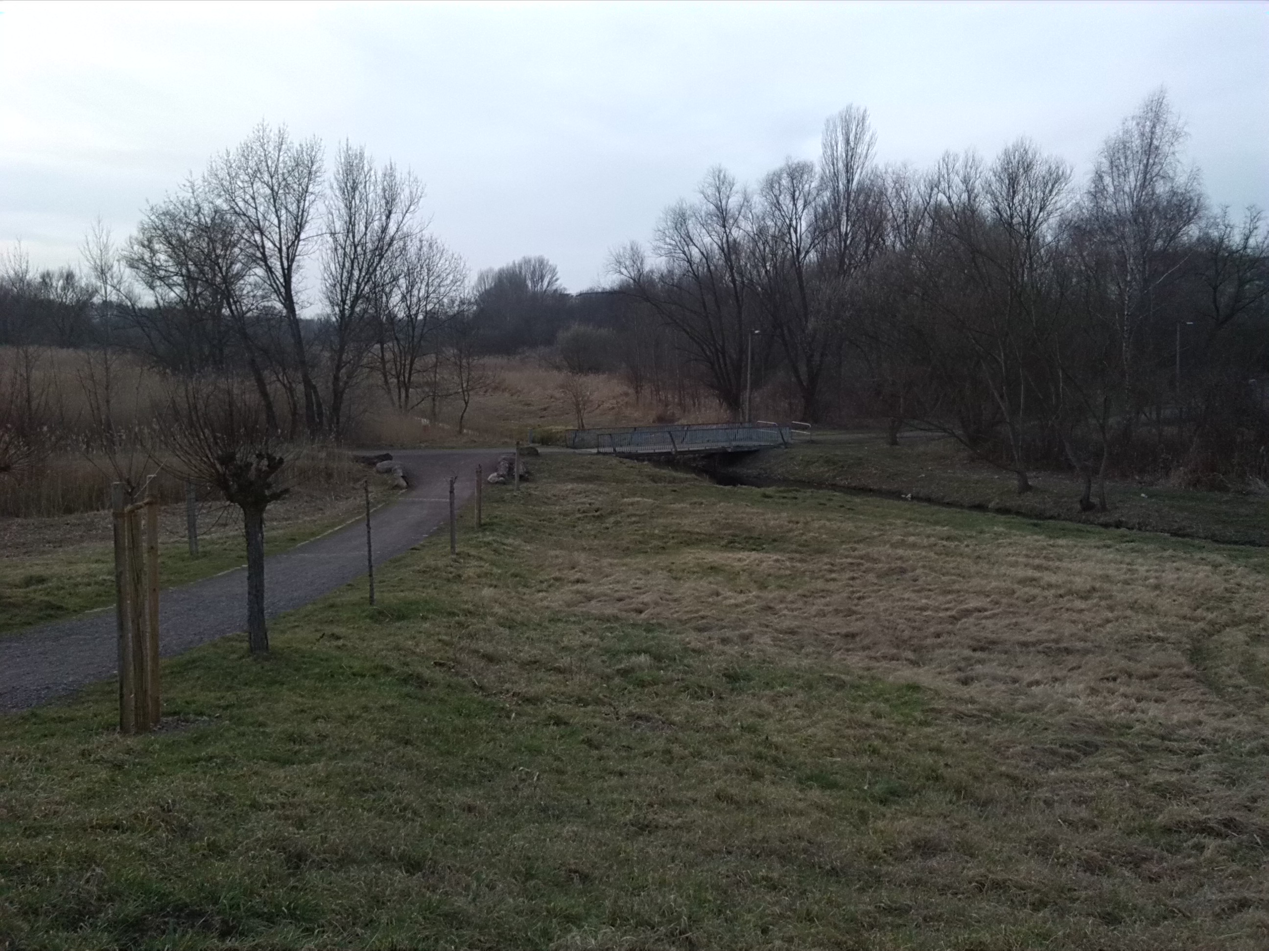 40-Blick Von Westrand Südpark Zu Geisel & NSG Untere Geiselaue