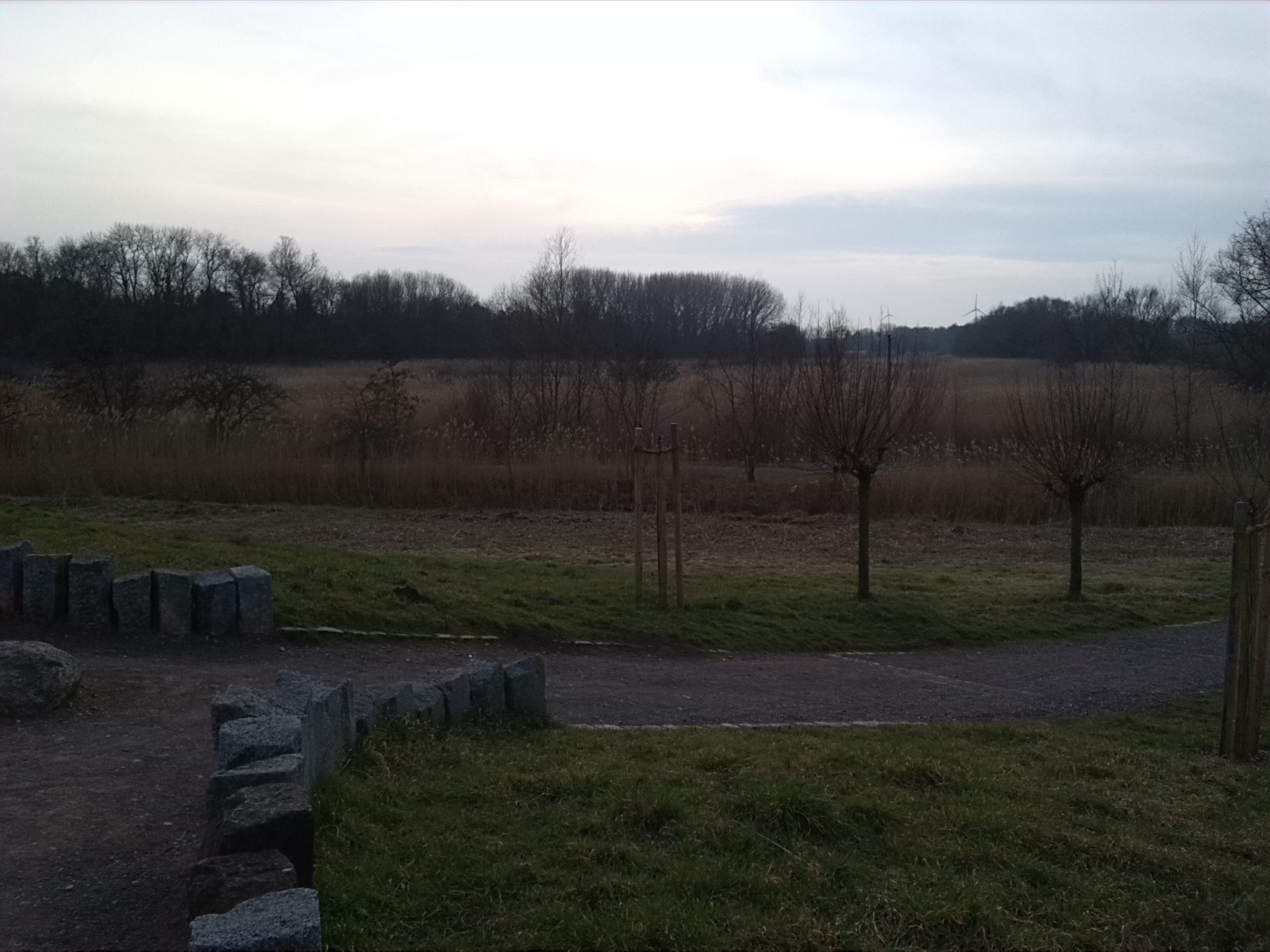 41-Blick Westrand Südpark Zu NSG Untere Geiselaue Nach Westen
