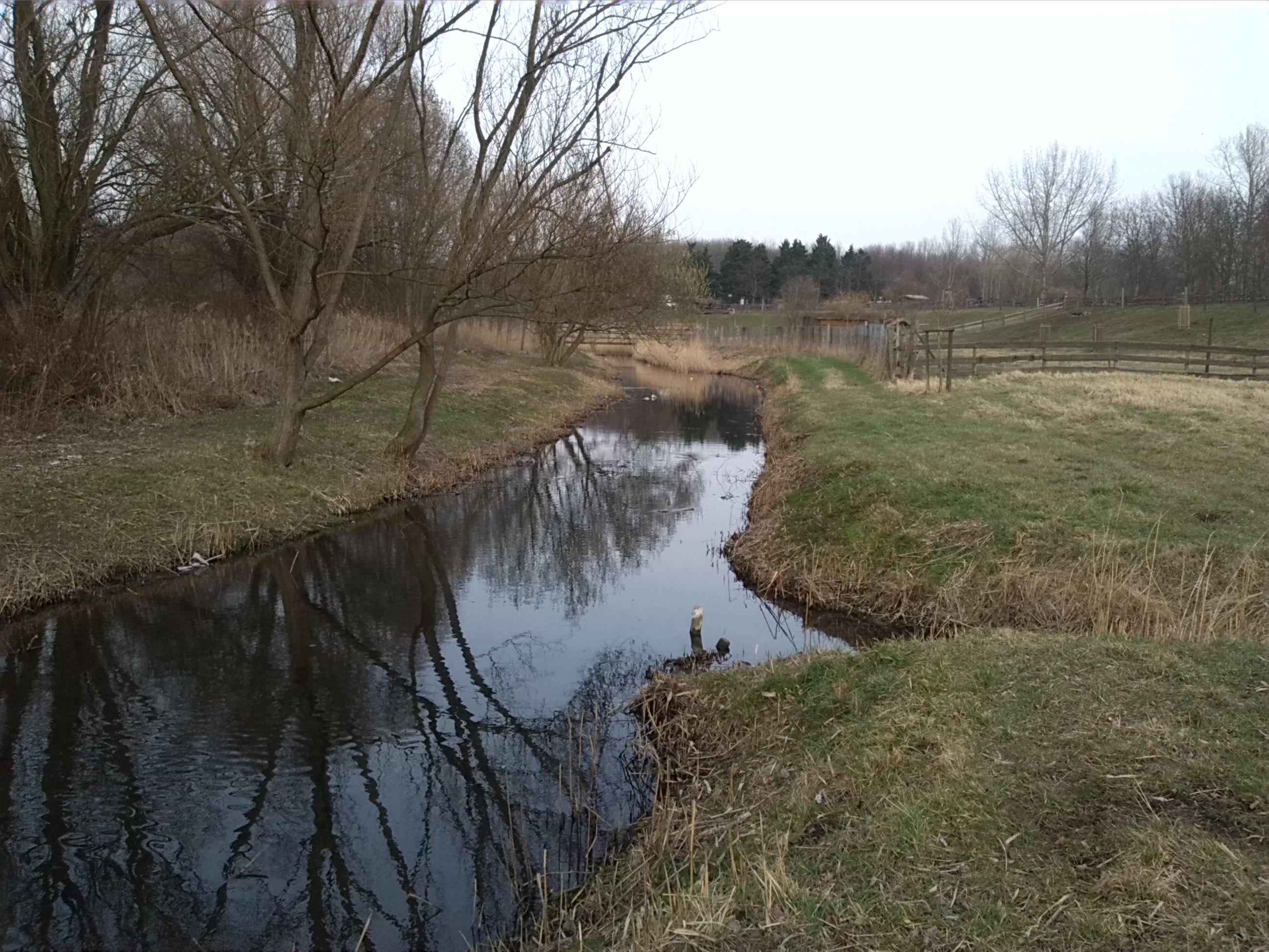 43-Blick Brücke Ulmenweg Geiselabwärts Nach Osten & Zu Südpark