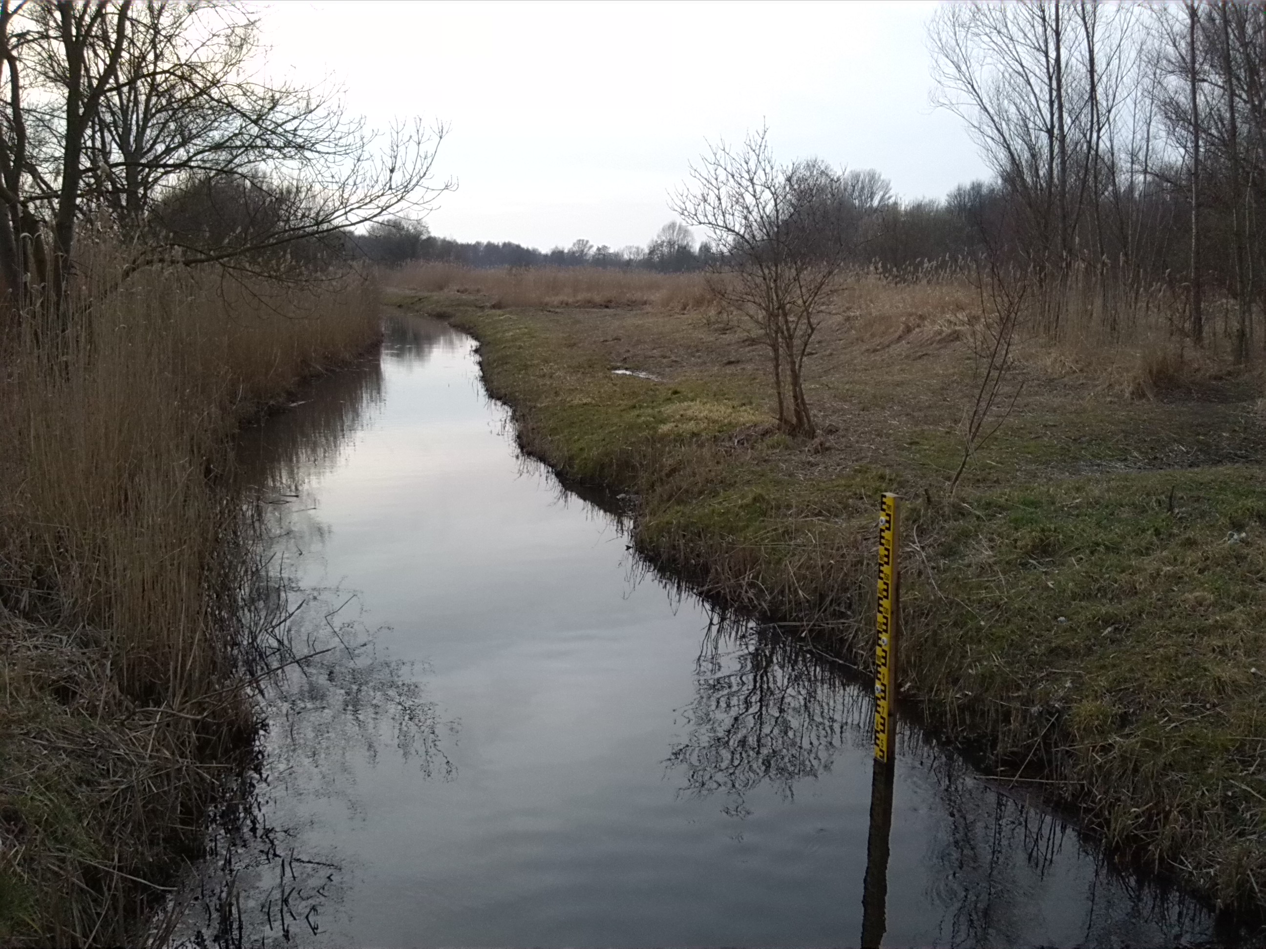 43-Blick Brücke Ulmenweg Geiselaufwärts Nach Westen & Zu Südpark