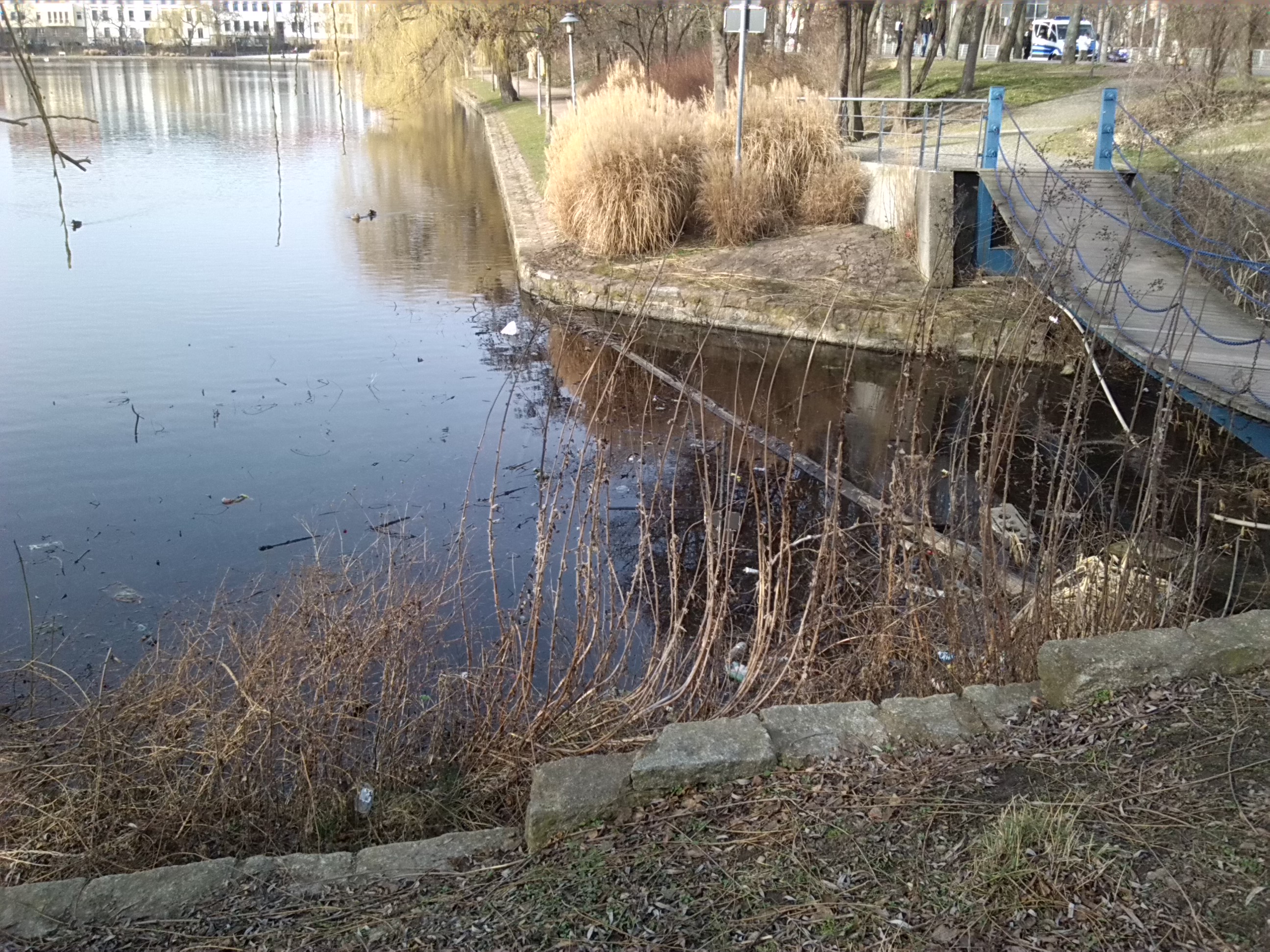 7-Vorder Gotthardteich - Alter Geiselauslauf Von Süden