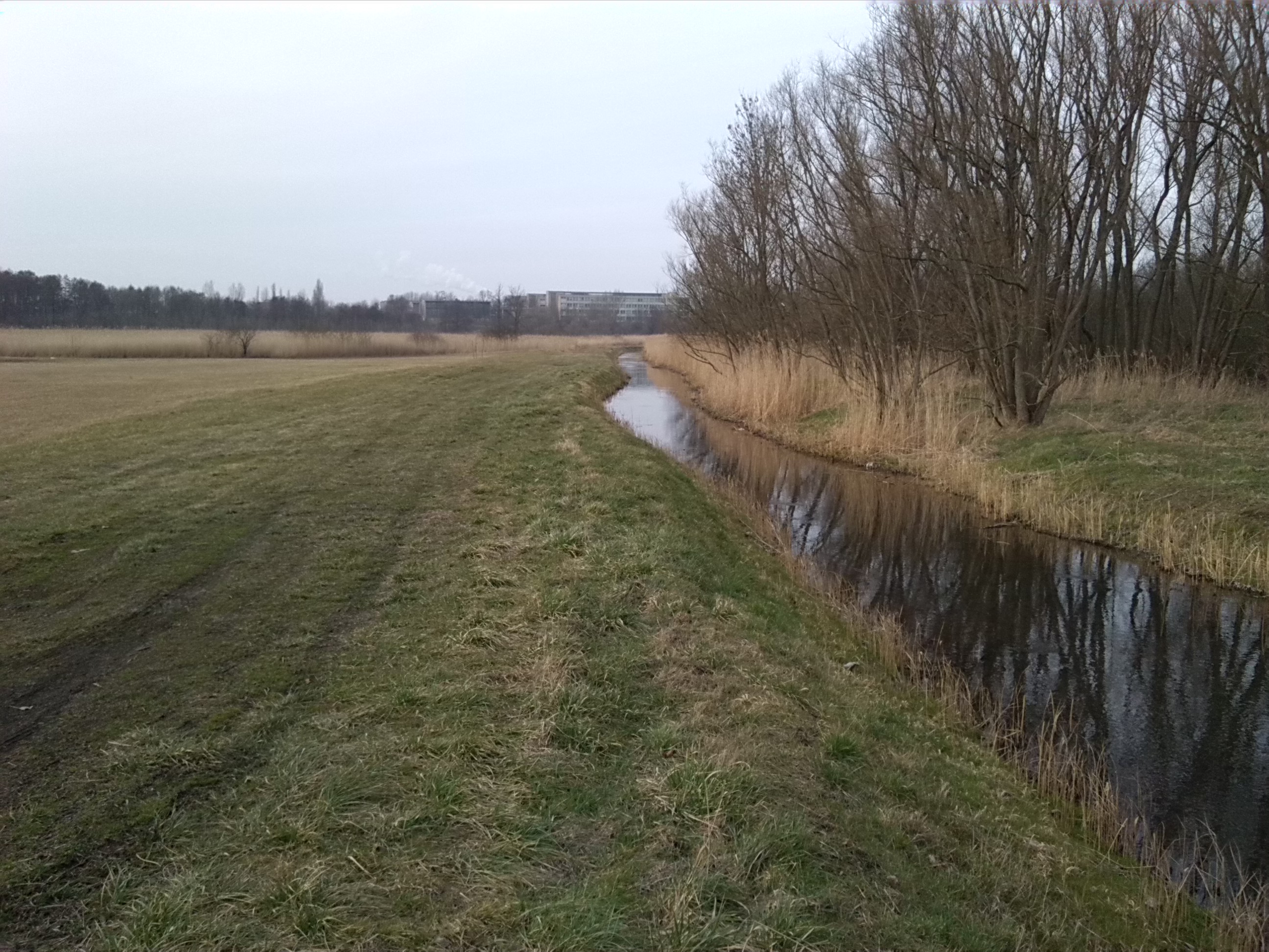 87-Blick Von Brücke Merseburger Straße Geiselabwärts Nach Norden