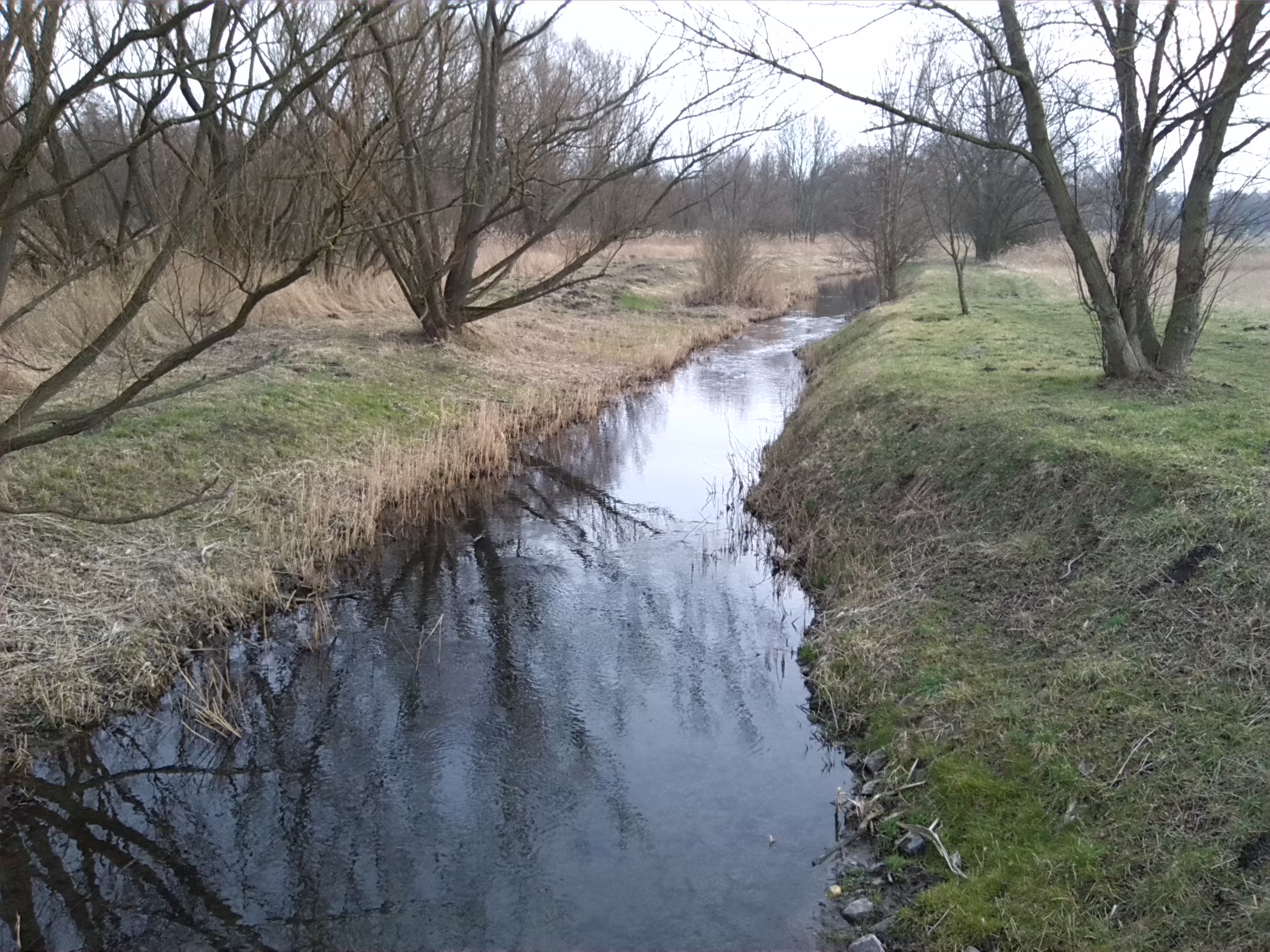 88-Blick Von Brücke Merseburger Straße Geiselaufwärts Nach Süden