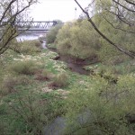 10-Blick Von Elbbrücke B184 Rossel Abwärts In Richtung Mündung Elbe