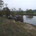 14-Blick Von Brücke B184 Muldeaufwärts