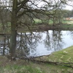 20-Teich An Schumannbrücke B184