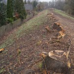 17-Deichanlage Werderstraße Zulauf Mittelkanal