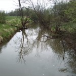 31-Blick Von Großmutterbrücke Fließgraben Aufwärts