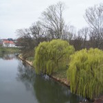 21-Blick Von Saalebrücke Am Waldbad Nach Ockendorf Zum Auenwald Am Waldbad