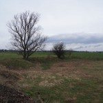 41-Blick Zum Westrand Senkenordwestlich Wölkau Hintergrund Göhlitzsch