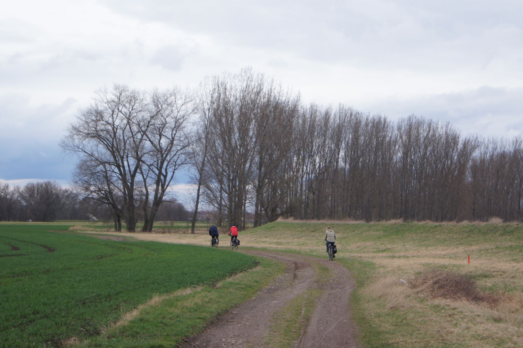 47-Blick Nach Norden In Saaleaue Südlich Trebnitz