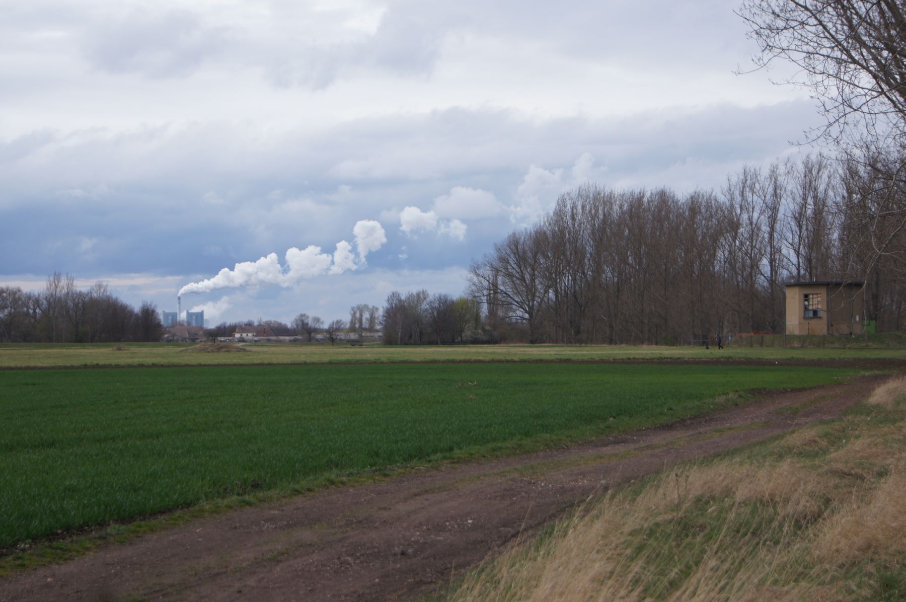 48-Blick Von Saaleaue Südlich Trebnitz Nach Merseburg Zum Kraftwerk Korbetha
