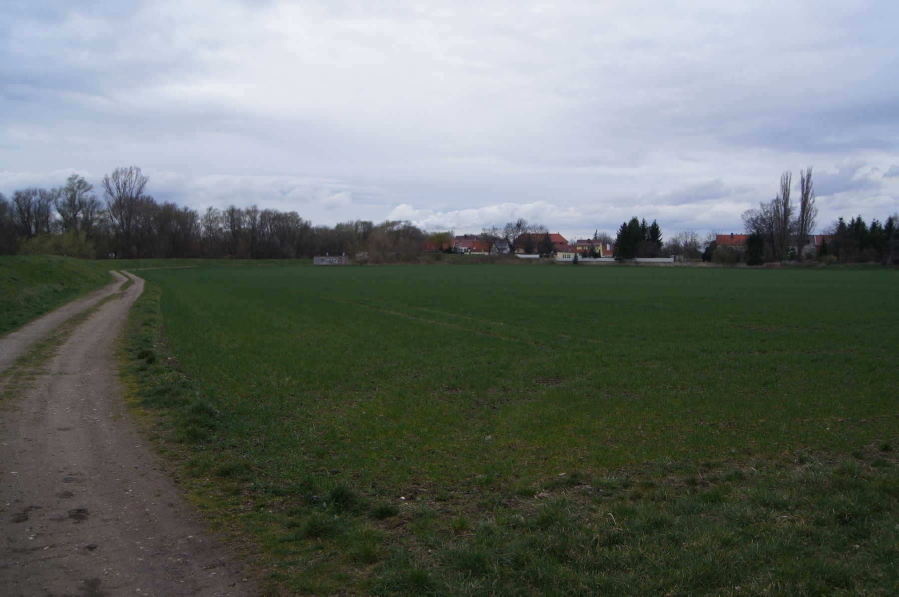 51-Blick Von Fasanerie Nach Amtshäuser