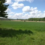 1-Blick ICE - Strecke Saale Elster Luppe Aue Von Weg Zwischen Dieskauer Park & Döllnitz In Richtung Kraftwerk Korbetha