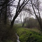 1-Schlackenbach Zwischen Belleben Park Piesdorf Bachaufwärts