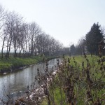 114-Friedeburg Schlenze Vor Einmündung In Saale Blick Flussaufwärts